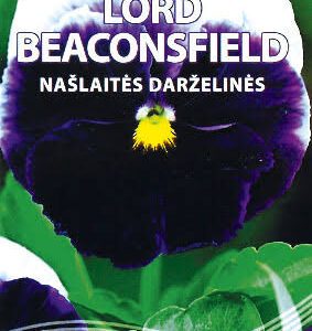 Našlaitės darželinės violetinės su baltu viršuje 'LORD BEACONSFIELD' 0,1 g S