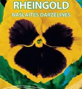 Našlaitės darželinės geltonos su tamsia akute 'REINGOLD' 0,2 g S