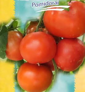 Pomidorai labai ankstyvi, žemaūgiai mėsingais labai dideliais vaisiais, atsparūs ligoms, auginimui lauke 'RED MORNING F1' 10 sėklų S. NAUJIENA 2026 m.