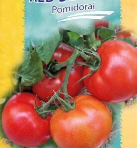 Pomidorai ankstyvi, žemaūgiai, dideli mėsingi vaisiai, atsparūs ligoms, padažų gamybai 'RED DEUCE F1' 10 sėklų S. NAUJIENA 2026 m.